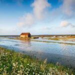 Nieszczelności instalacji – jak je wykryć, zanim staną się poważnym kosztem?